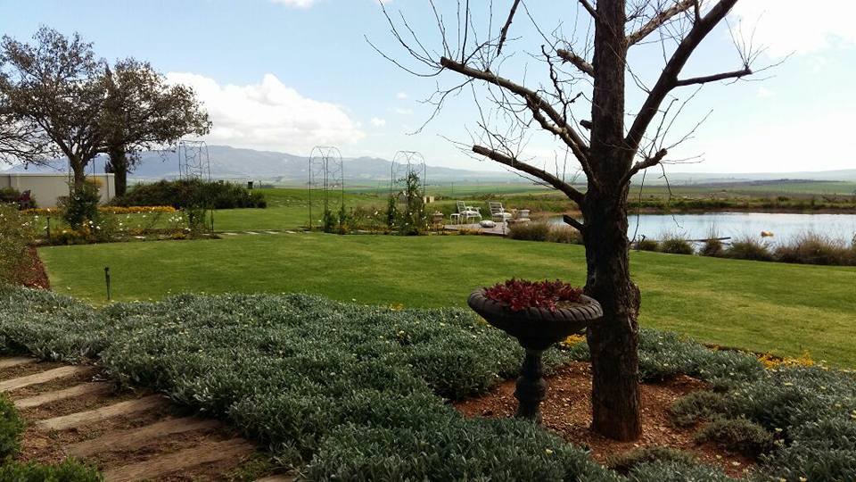 Early Summer Landscape Maintenance in the Boland