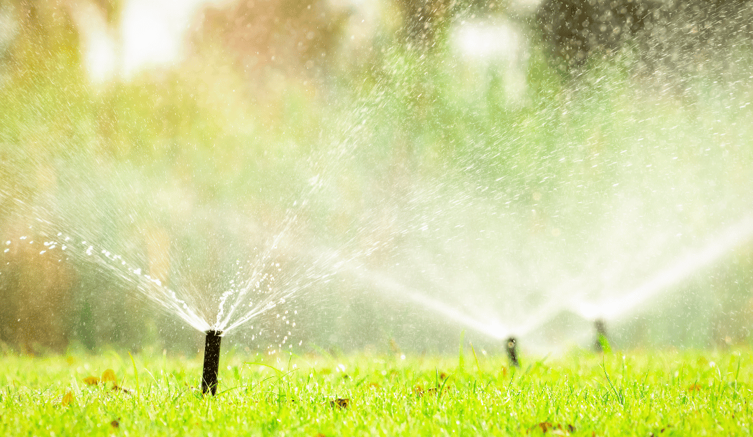 Summer Water Management Essentials